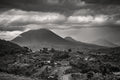 Gorilla Country — fine art print by Adam Oswell, project Salvation