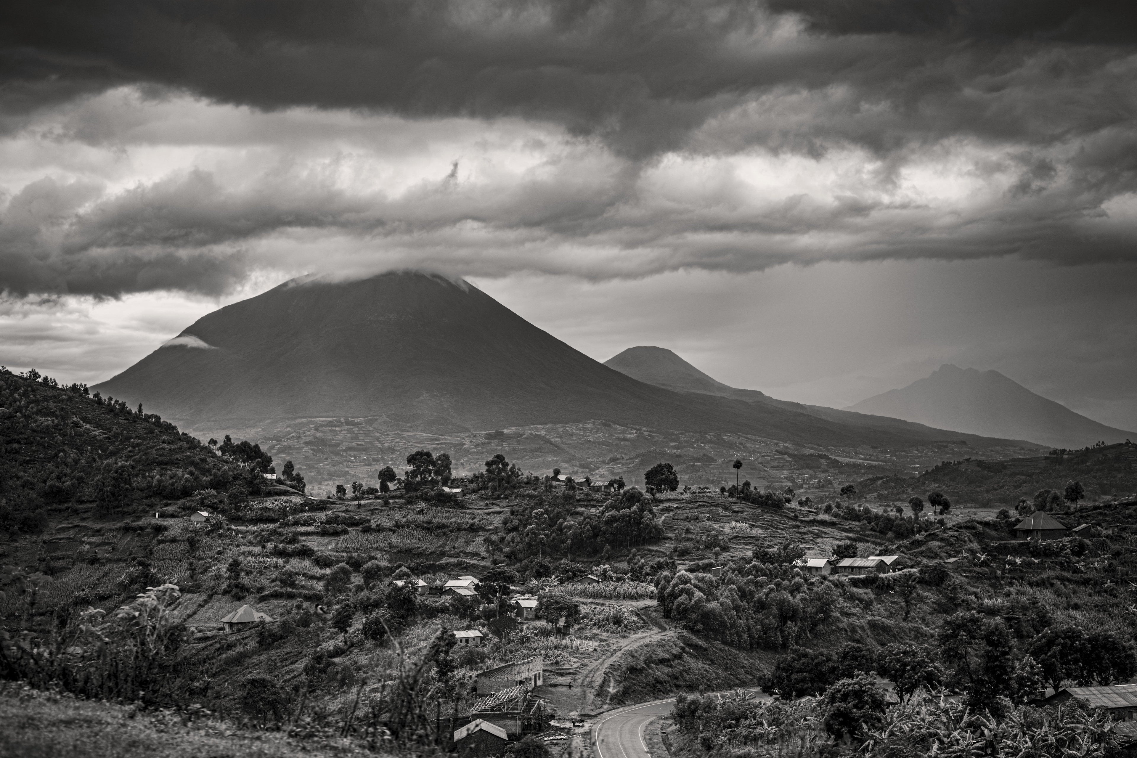 Gorilla Country — fine art print by Adam Oswell, project Salvation