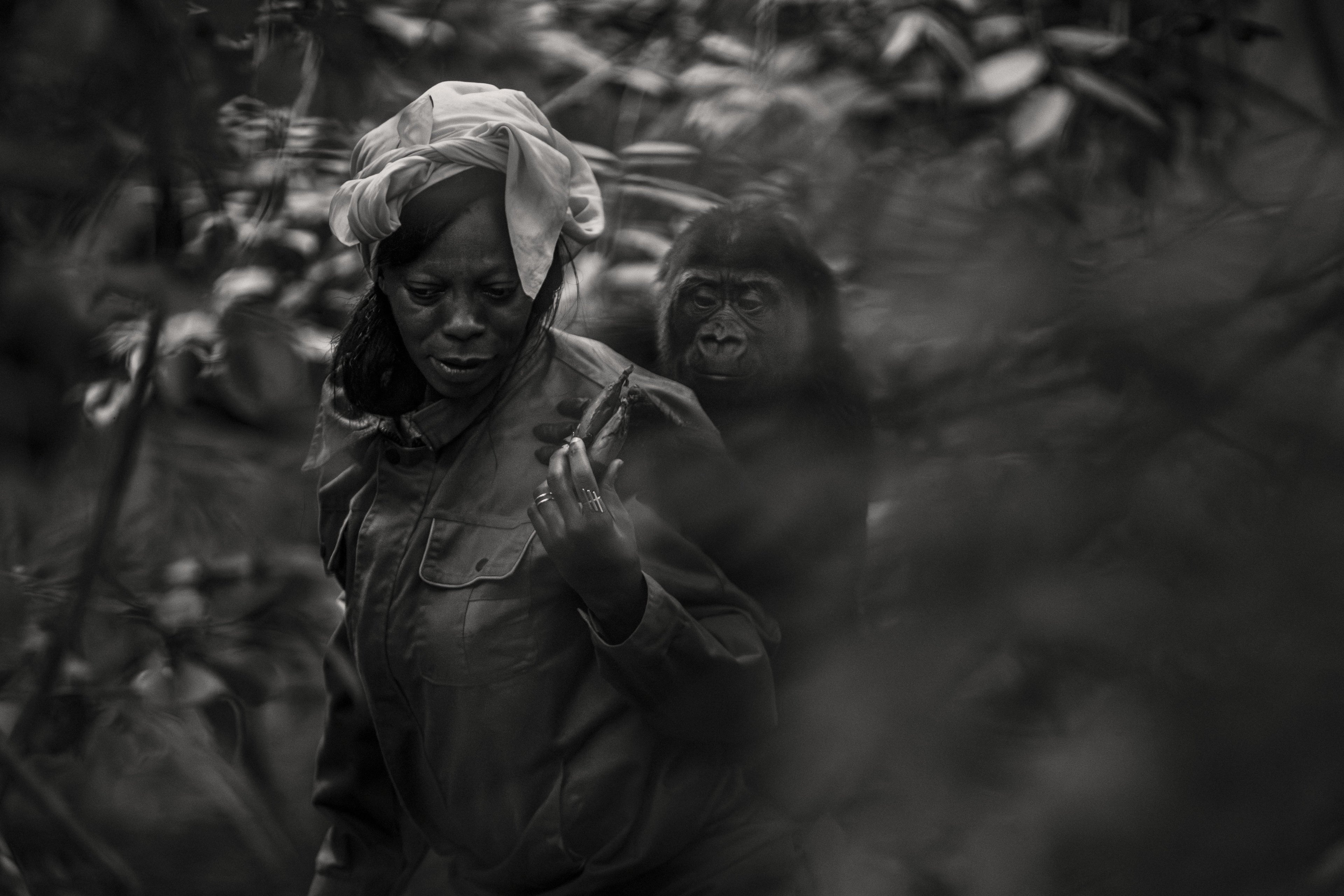 A Walk in the Forest #I — fine art print by Adam Oswell, project Salvation