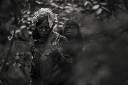 A Walk in the Forest #I — fine art print by Adam Oswell, project Salvation