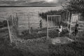 Sanctuary Among Beasts — fine art print by Adam Oswell, project Salvation