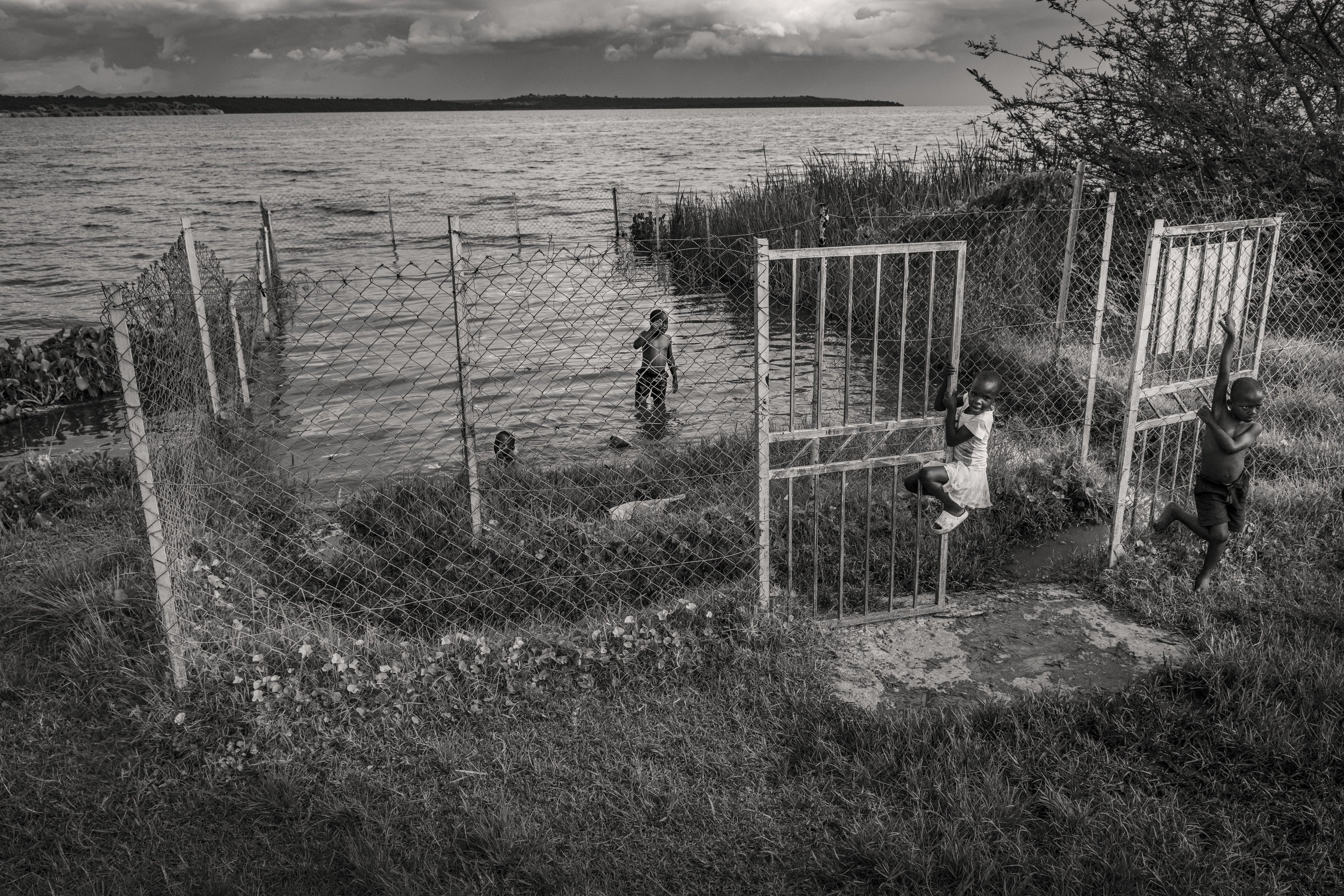 Sanctuary Among Beasts — fine art print by Adam Oswell, project Salvation