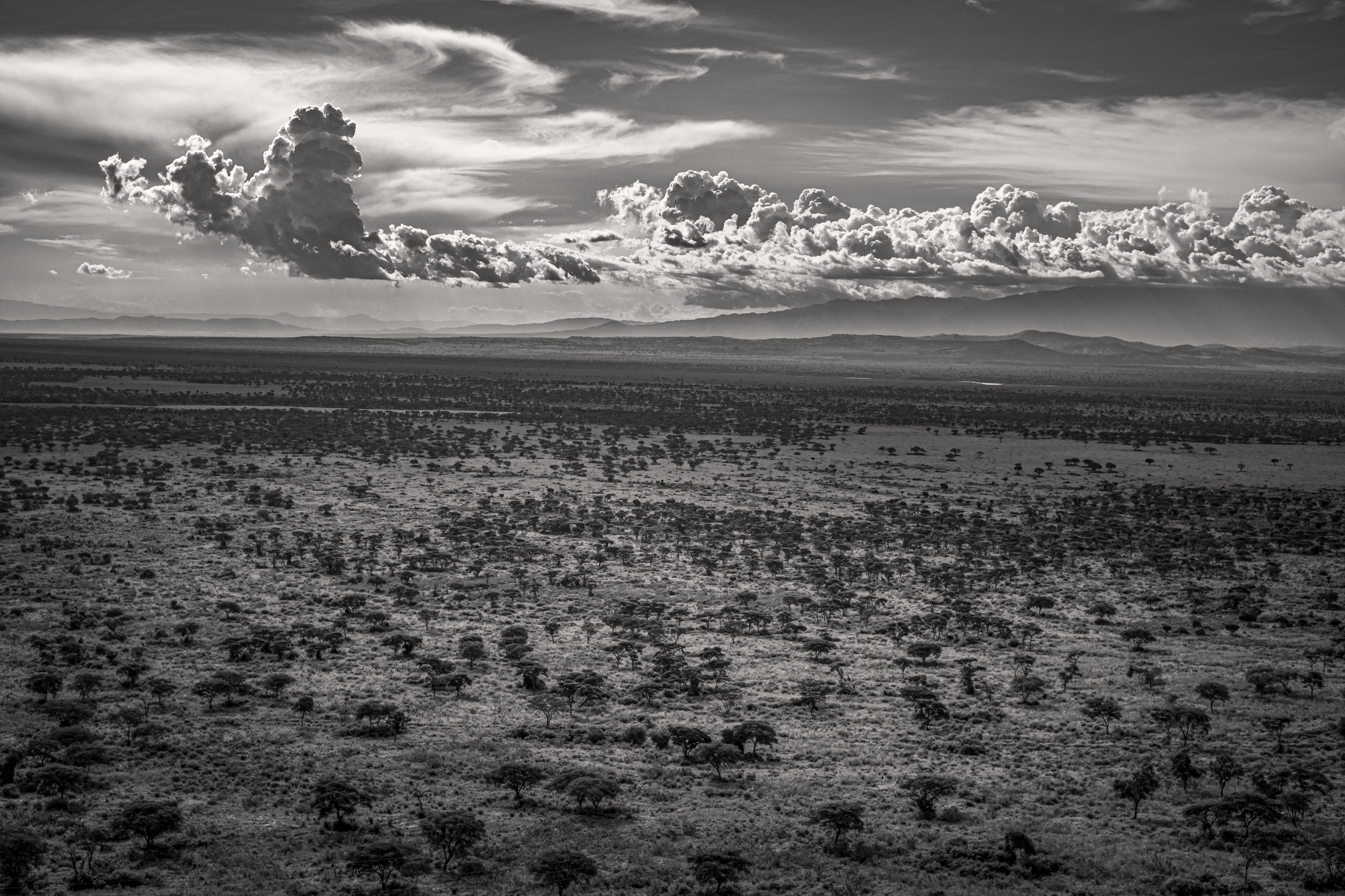 African Skies — fine art print by Adam Oswell, project Salvation