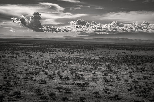 African Skies — fine art print by Adam Oswell, project Salvation