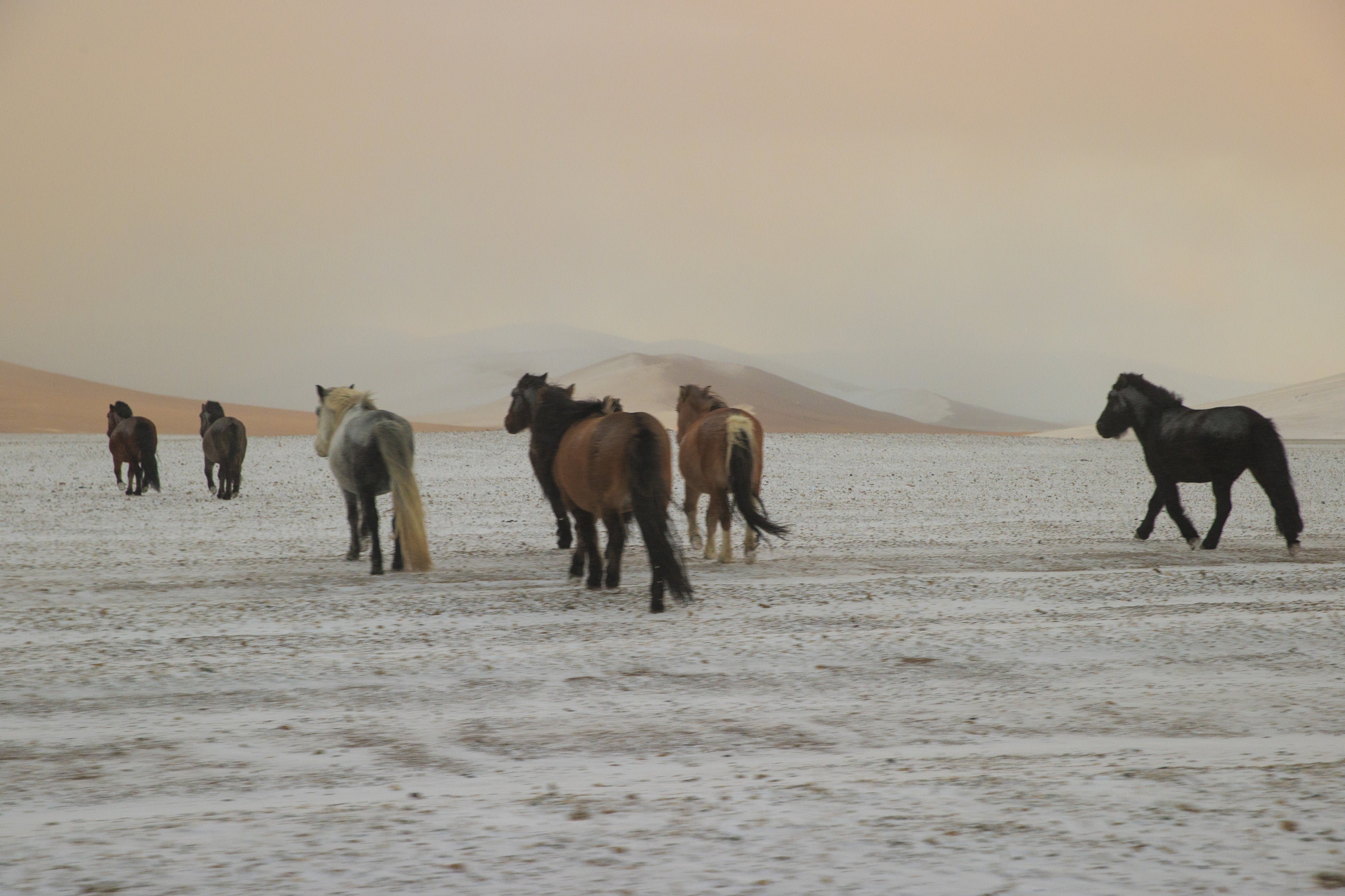 Where Frost Runs Wild — fine art print, photographer Blake Estes, project Salvation