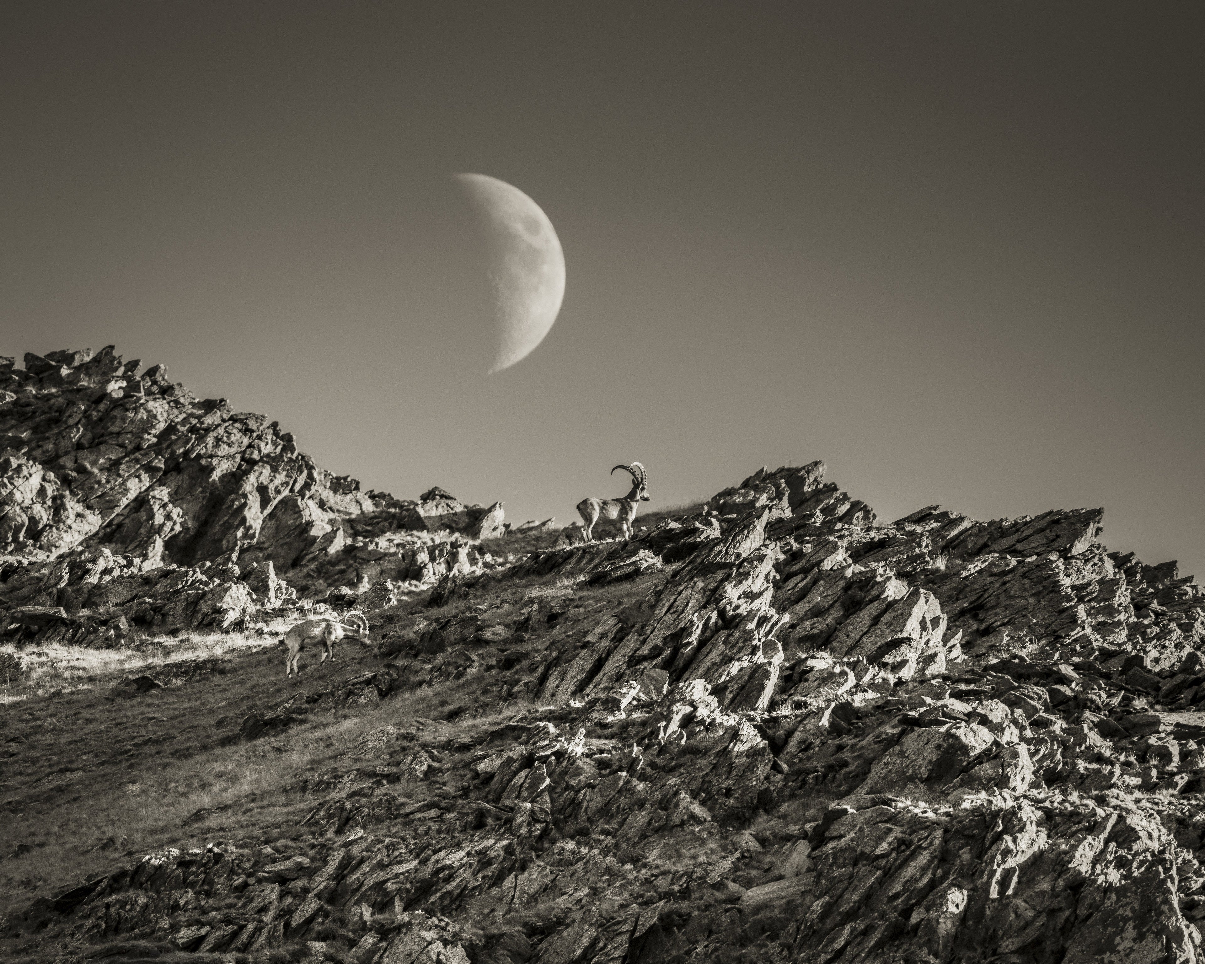 Mountains of the Moon — fine art print by Adam Oswell, project Salvation