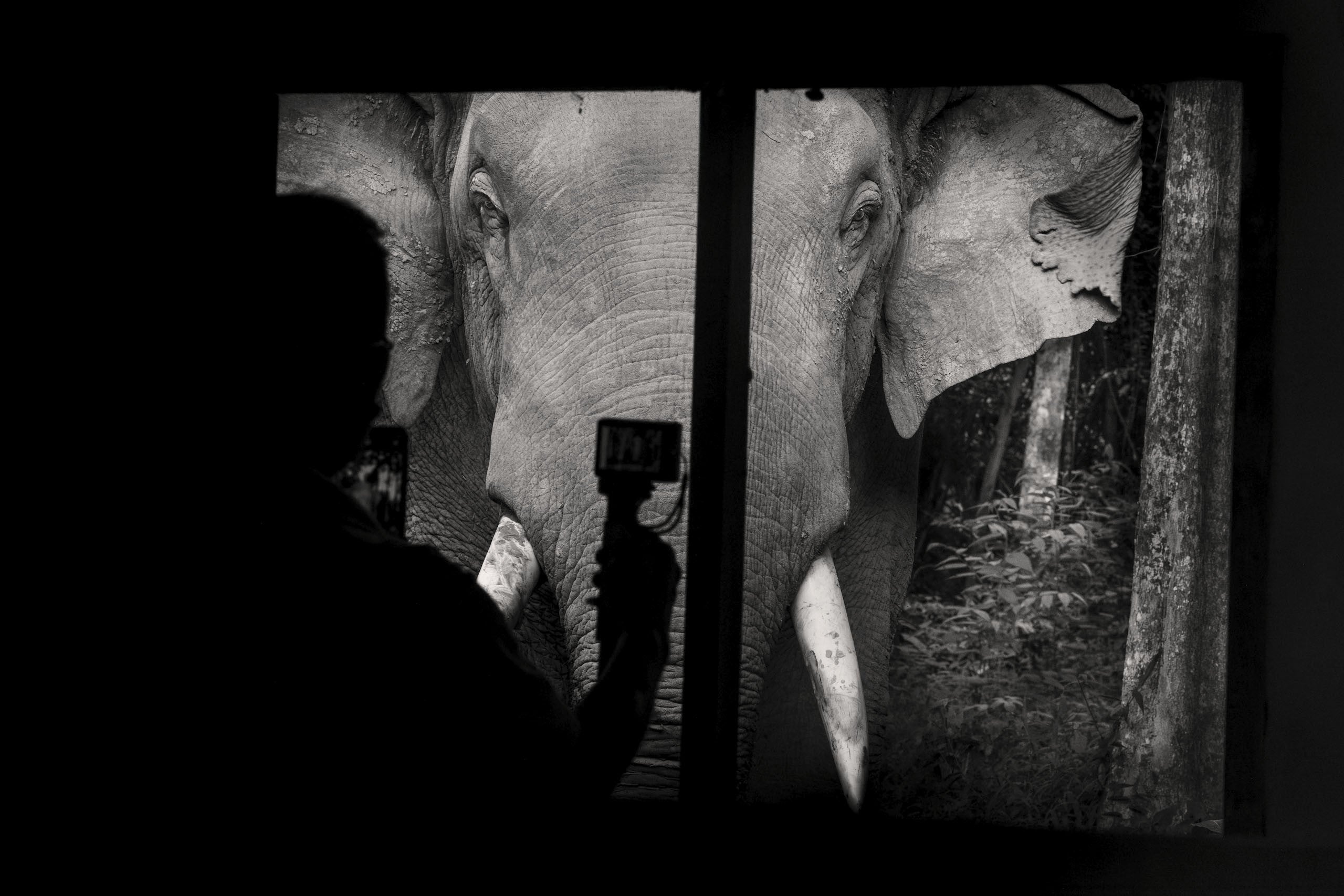 Two Worlds Collide — fine art print by Adam Oswell, project Salvation