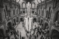 Hope — blue whale skeleton, Natural History Museum, fine art print by Adam Oswell, project Salvation