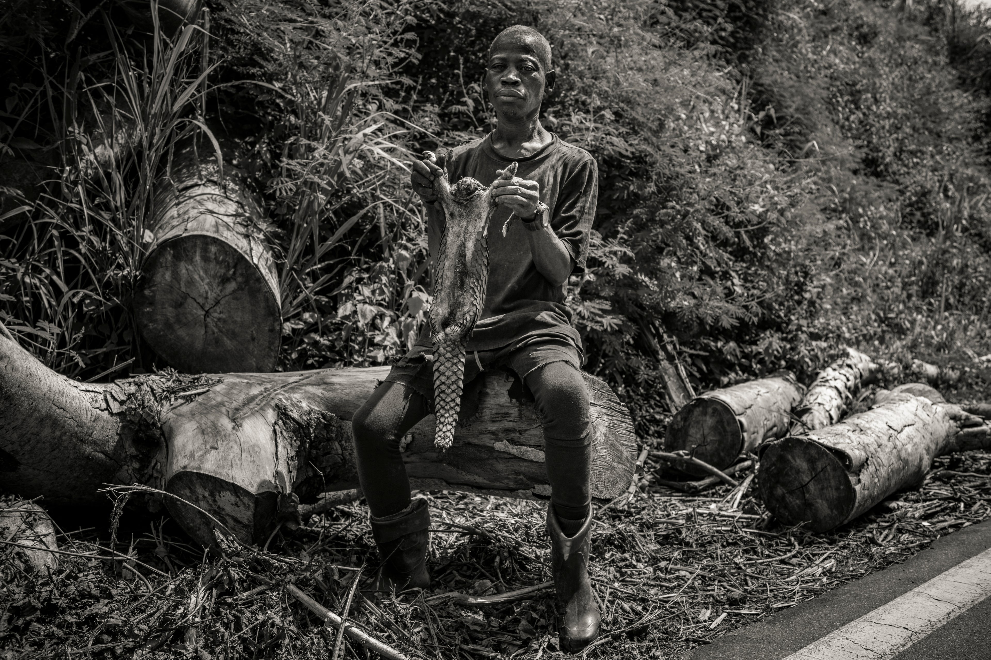 A black and white photograph of a young boy sitting on a cut log outdoors, holding a small animal carcass. He is surrounded by logs, brush, and a dirt path.